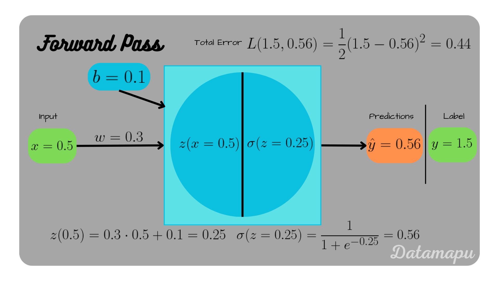 one_neuron_forward