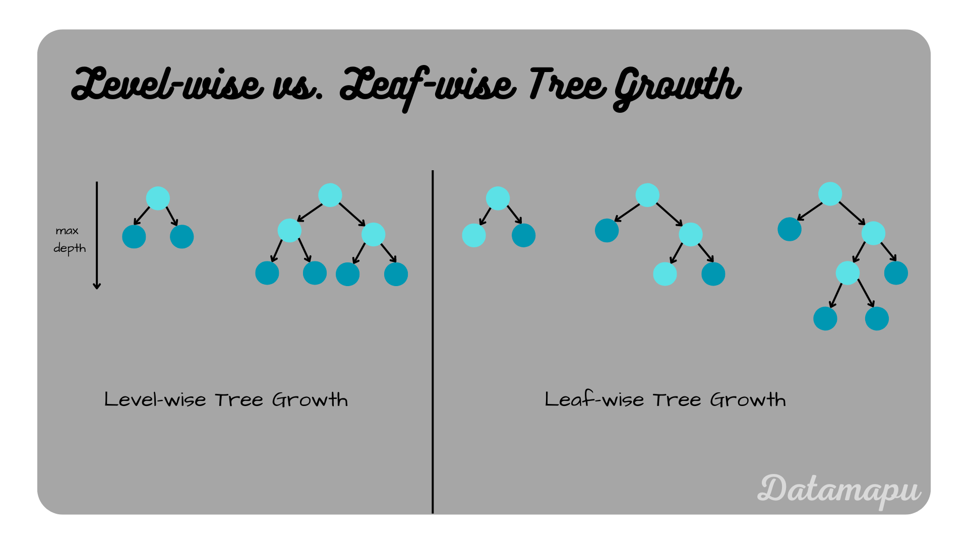 tree growth